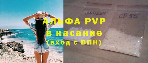 хмурый Аркадак