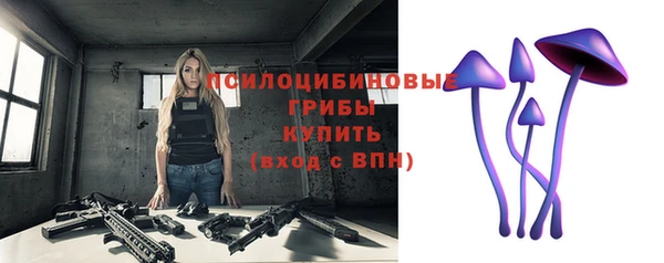 хмурый Аркадак