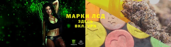 ГАЛЛЮЦИНОГЕННЫЕ ГРИБЫ Армянск