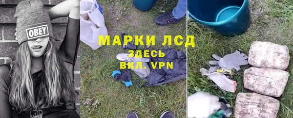ГАЛЛЮЦИНОГЕННЫЕ ГРИБЫ Армянск