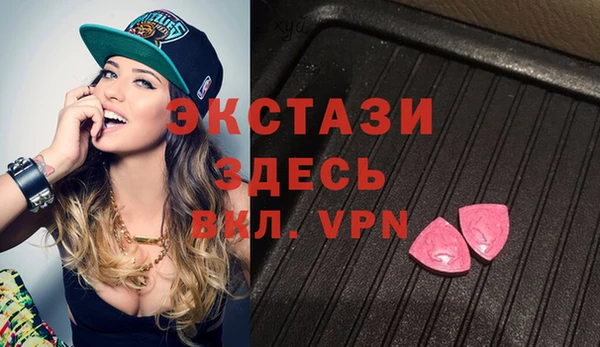 хмурый Аркадак