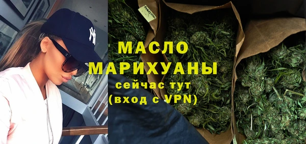 хмурый Аркадак