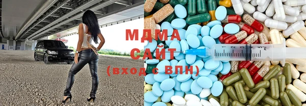 хмурый Аркадак