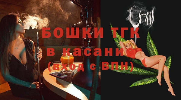 хмурый Аркадак