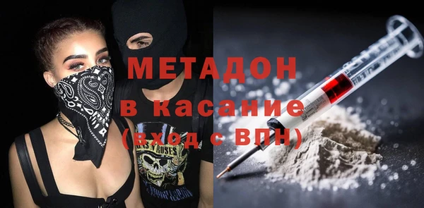 хмурый Аркадак